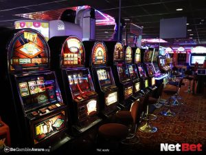 5500win - Login Oficial Bet